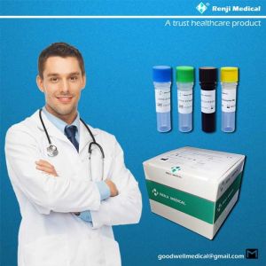 95% Sensitivity Nucleic Acid Testing Kit , 40-90 mins Rt Pcr Detection Kit