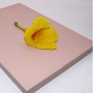 18mm Wardrobe Matte PET Laminated MDF Panels