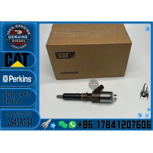 Common Rail Injector 306-9380 Fuel Injector Assembly 320-0680 2645A747 2645A734