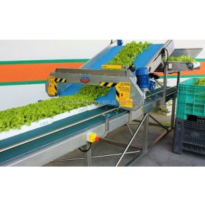 Easy to Operate 1100mm Cutting Width Microgreens and Grasses Harvesting Machines