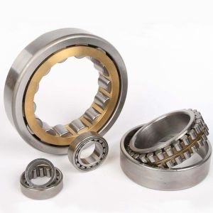 NJ 234 ECML;NU 234 ECML Cylindrical Roller Bearings Use For River Sand Screening