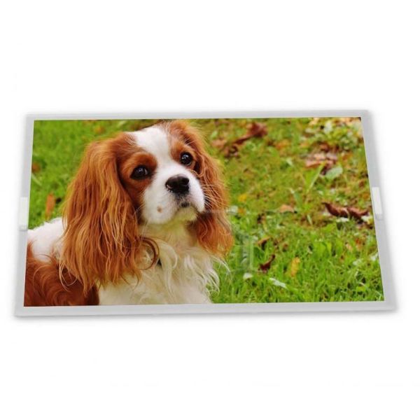 Quality CLAA150XP07Q    15 Inch WLED TFT  LCD Screen Panel 1024*768 Resolution LCD Modules Used for Laptop wholesale