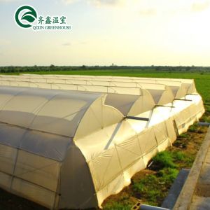 Automatic Controlling Box Aquaponics Film Greenhouse for Animals Growing Tent