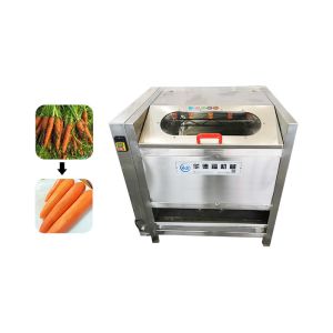 0.75kw 700kg/H Beetroot SUS304 Vegetable Washing Machine