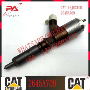 China 2645A709 2645A731 276-8290 282-0490 Injector Diesel Fuel on sale