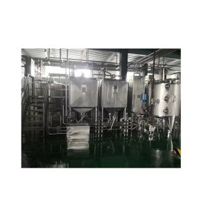 Cheap Turnkey Project for Coconut Milk Processing Line Standard Size Advanced Technology for sale