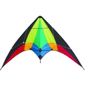 Autumn polyester Delta stunt kite , 120~180cm wing span for kids and adults