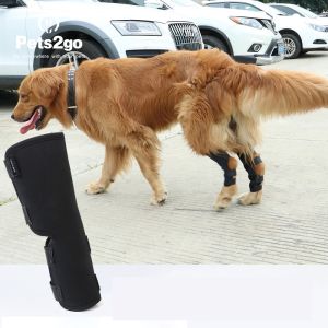 Joint Protection SBR Dog Knee Pad for Surgery Recovery