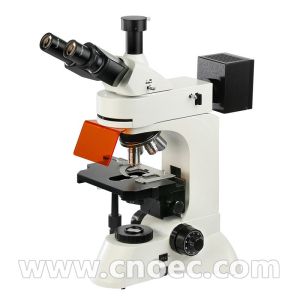Cheap Trinocular Infinity Plan Fluorescence Microscope 40x - 1000x A16.0207 for sale