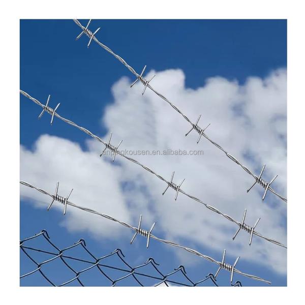 Quality Affordable Safety Fence Barbed Wire with 1.6-3.2mm Wire Diameter and Two Wire Twist wholesale