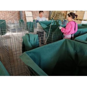 China Zn Coated Military Barrier 4mm-5mm Spiral with 2mm Polypropylene on sale