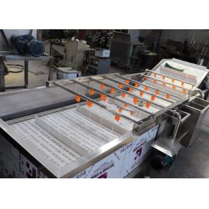 Multi Function 3.75KW Air Bubble Vegetable Washing Machine