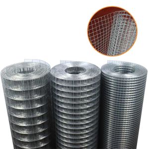 Galvanized Welded Wire Mesh Screen for Long-Lasting and Durable Protection