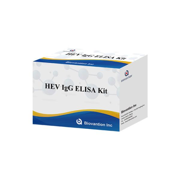 Quality HEV Human Igg Elisa Kit Diagnostic For IgG Antibody To Hepatitis E Virus wholesale