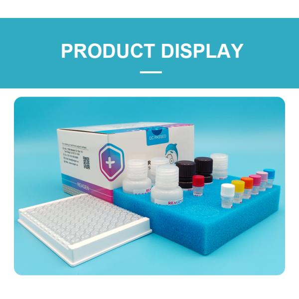 Streptomycin ELISA Test Kit for Tissue, Aquatic, Honey, Milk 0.1 PPB