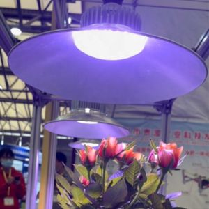 LED Plant Growth Lamp Full Spectrum High Power Complement Lamp