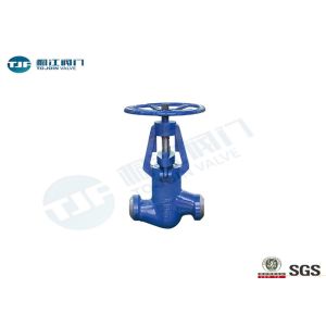 J61Y Globe Valve For High Temperature And High Voltage Power Stations