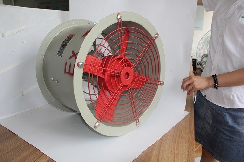 2000m³/h 1450r/m Explosion Proof Axial Fan With 250mm Diameter For Explosive