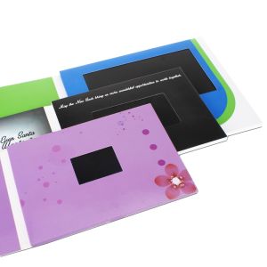 Region Customized Style LCD Video POS Display for B2B Purchases