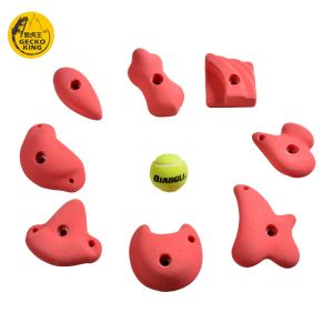 China 5-10 Passenger Training Center Rock Climbing Wall Holds for Bouldering Wall on sale