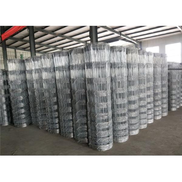 1.8m Height Hot Dipped Galvanized Hinge Joint Sheep & Goat Fence Antirust