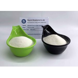 ISO9001 Standard Hydrolyzed Collagen Peptides For Protein Enrichment Supplements