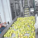 5 - 50 T/H Juice Making Machine Apple Processing Line For Apple / Pear Juice