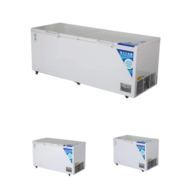 Quality Horizontal Direct Cooling Refrigerator Commercial Household Dual Purpose Small Volume wholesale