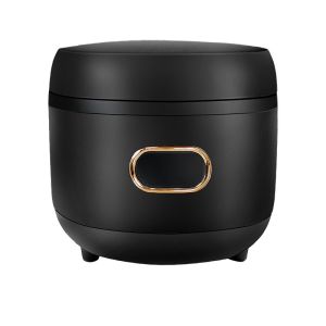 900W 5L Tapioca Pearl Cooker Automatic Boba Cooker