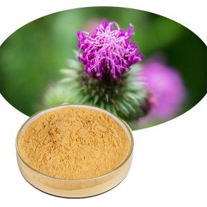 China Water Soluble Silybum Marianum Extract Milk Thistle Powder P.E. For Liver Health on sale