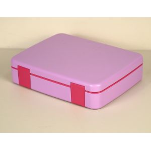 Eco Conscious 4 Compartment Bentgo Lunch Box With Lid Pink