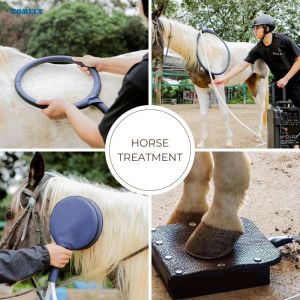 Gomecy PMST LOOP PEMF Therapy Device for Back Neck Joint and Tendon Conditions