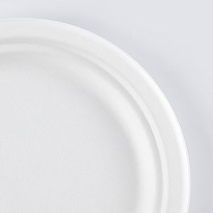 8.75 inch round white pulp biodegradable sugarcane party plates
