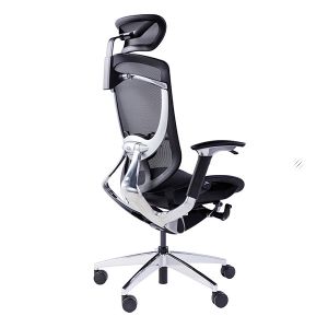 IFIT X Chromed Butterfly Dvary Mesh Office Chairs With Lumbar Support Tilting