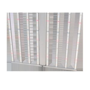 10 Bars 800W 3.1umol/J Horticulture LED Grow Lights