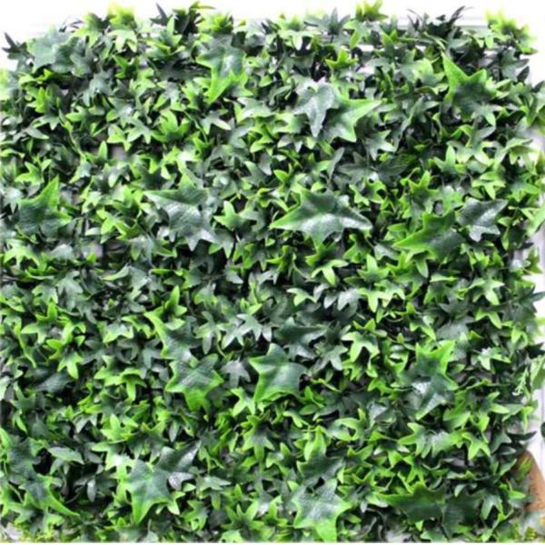 Quality Environmentally Friendly Artificial Wall Grass With Excellent Security Performance For Houses And Cafes Decorations wholesale