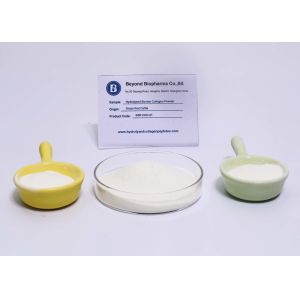 Bovine Collagen Type 1 and Type 3