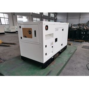 ABB or Delixi YangDong Diesel Generator 31KVA 25KW  Silent type