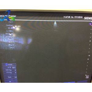 Siemens P4-2 Phased Array Probe Cardiac Ultrasound Transducer Hospital