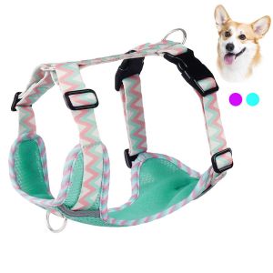 China Dog Leash Vest Pet Harness Reflective Strip Dog Chain Supplies with Custom Logo and Padded Design on sale