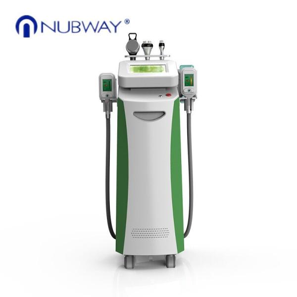 New Arrival cryolipolysis freezing fat beauty machine / rf cavitation cryolipoly