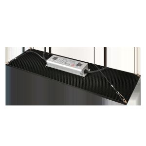 Separate Hanger 240W 3500K Indoor Horticulture Lighting