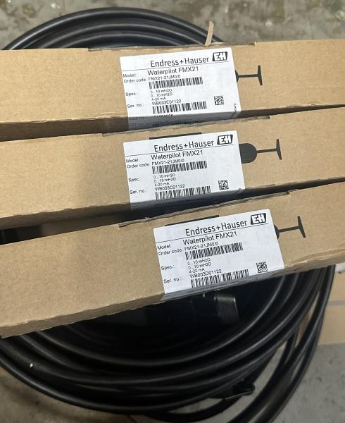 Endress+Hauser Waterpilot FMX21 Hydrostatic Level Transmitter with IP68-Rated