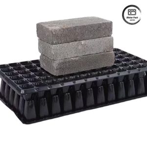 50 Cells Seeding Nursery Plug Tray Durable PS Material for Efficient Seedling