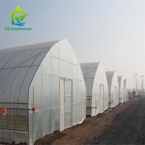 Quality OEM Aluminium Double Layer Poly Tunnel Greenhouse Onion Farming wholesale