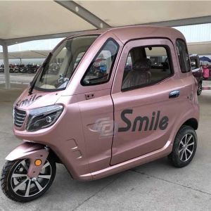 China 40km/H Button Start 1500W Enclosed Electric Trike on sale