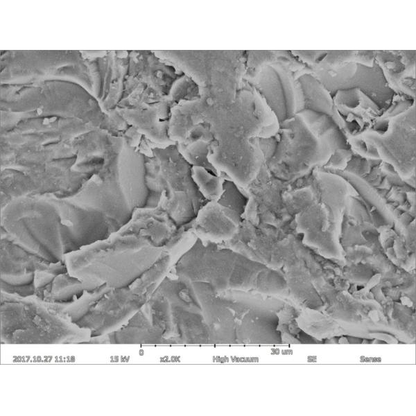 Magnification Max 150000X Scanning Electron Microscope 5nm Resolution EDS BSE