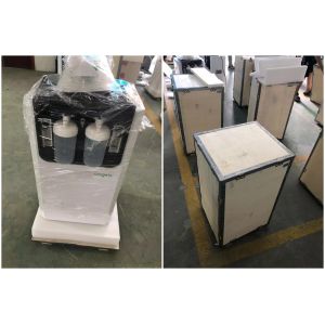 10 LMP High Purity Oxygen Concentrator 0.05MPA With Humidifier Bottle /