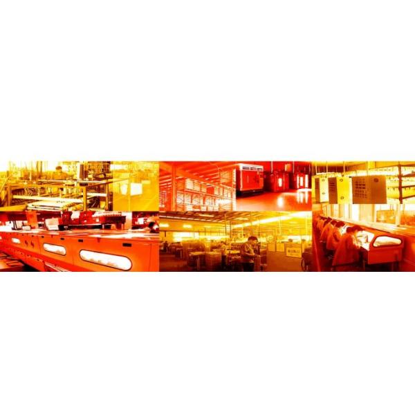 72w Modern 220v Ceiling Fan Chandelier Light Hotel Family Restaurant Use 2