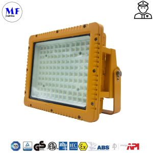 IP66 IK10 Waterproof Dust-proof Explosion Proof Flood Light For Heavy Industry